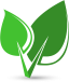 Icon Text Image
